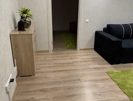 One-bedroom apartment for daily rent in Lida, Zamkovaya str. 3